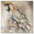 malovaný obraz Papoušek
